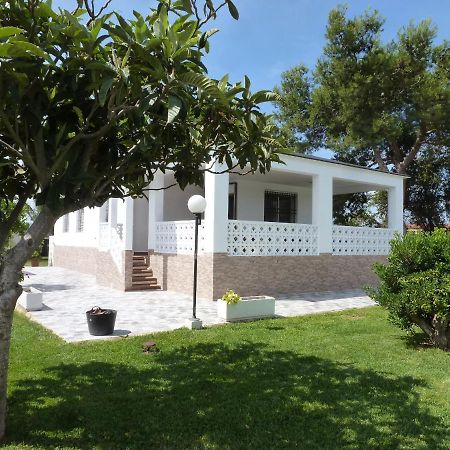 Chalet Verde Tavernes de la Valldigna Exterior foto